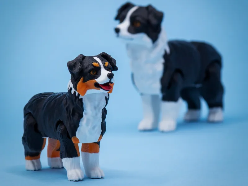 Australian Shepherd the realistic flexi dog toy (#98)
