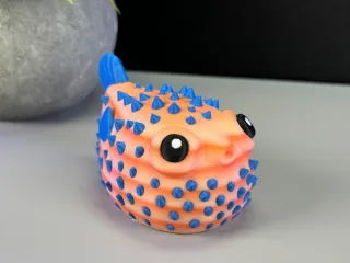 Cute Puffer Fish