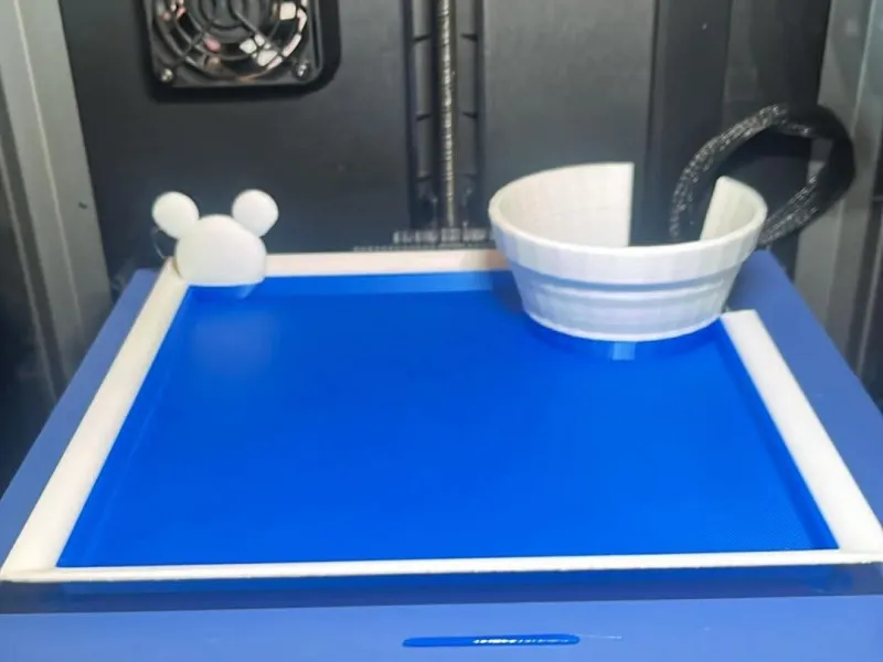 Disney Food & Wine Festival Tray