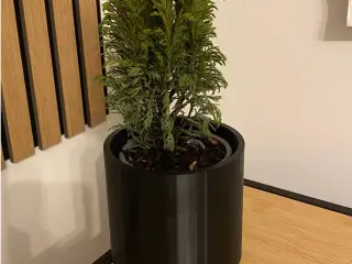 Simple Grow Plant Pot
