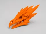 Dragon Skull Fossil | Fantasy-0