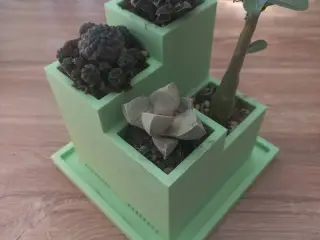 Cactus pot
