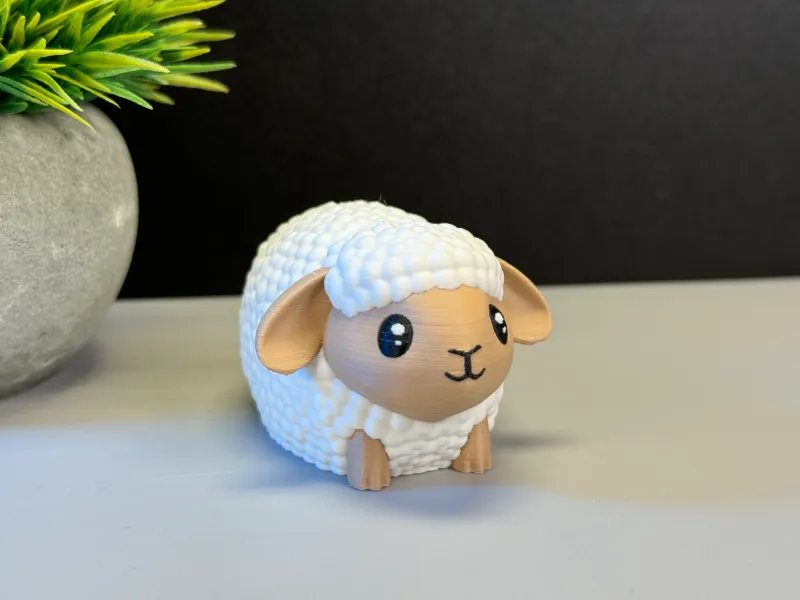 Cute Sheep