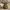 Runde Vase