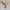 Clash of Clans COC The Healer