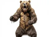 Bear 13-0