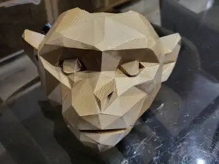 CF Monkey