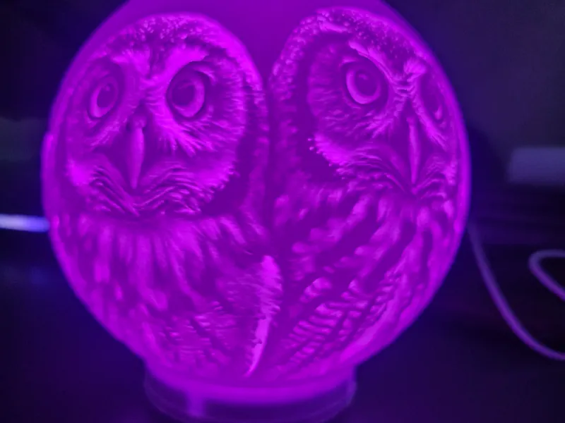 Lithophane Owls