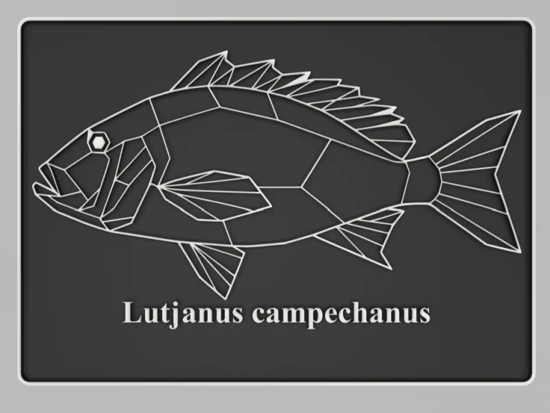 Postkarte Red Snapper