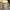 74.5mm缶用蓋