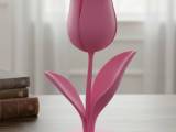 Tulipano-0