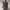 fall_gnome