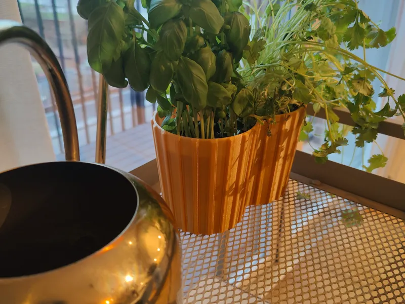 Plant Pot