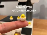 Mini Easter Hatching Chicken-0