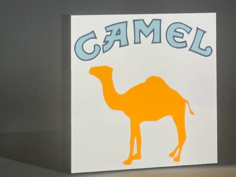 camel cigarettes