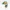 Hipper Link