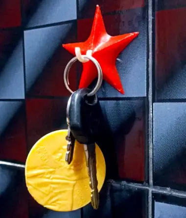 Vacuum Starfish hook-0