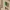 LLAVERO COLGANTE YOSHI LLAVERO DE PARED SUPER MARIO