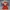 Grumpy Elmo Multipart
