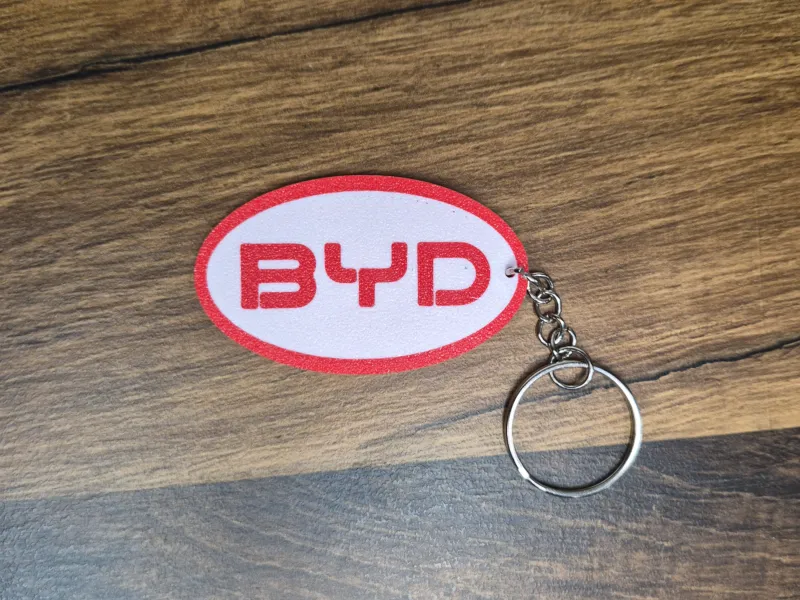 BYD keychain