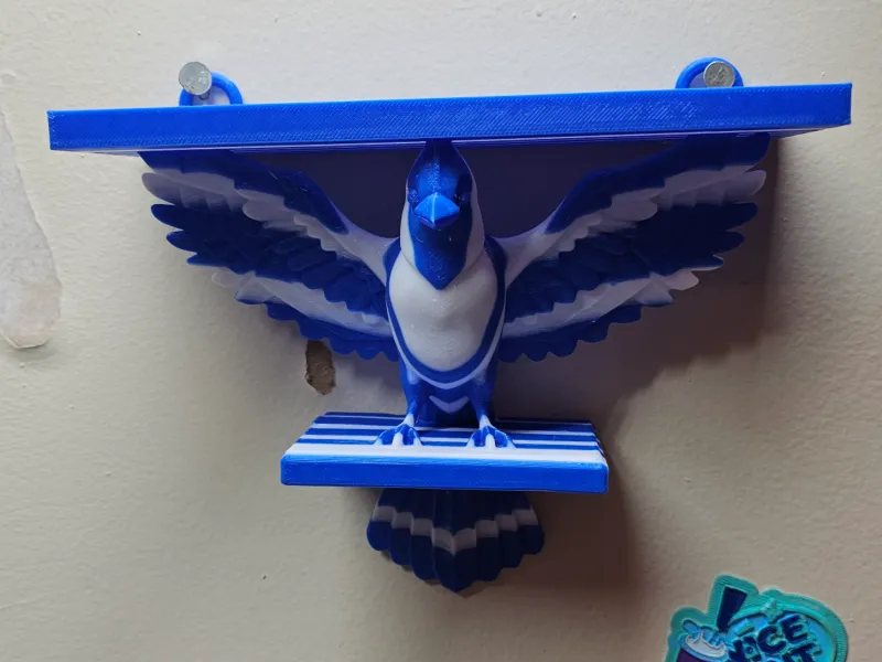 Blue J シェルフ