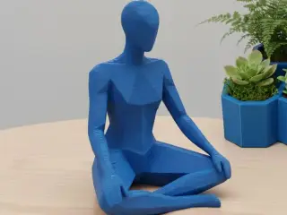 Meditating Human