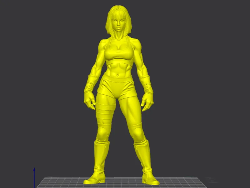 Ultra Muscular Anime Fighter