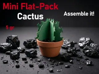 Mini Cactus (Build-It-Yourself)