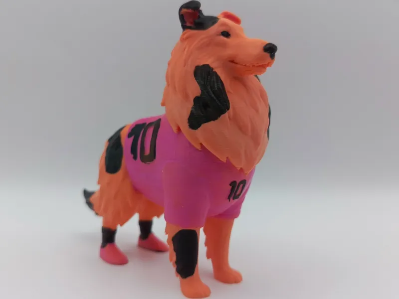 Rough Collie Voetbalspeler Figueur