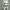 cute chibi bunny - make-now