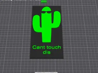 Cant touch dis