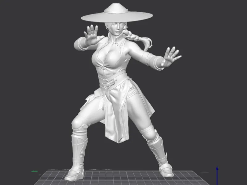A fighter girl in a hat with a pigtail