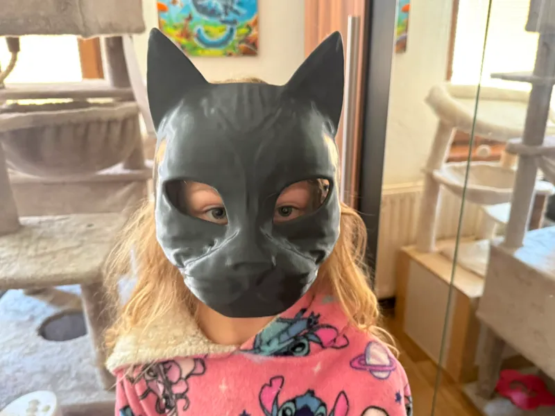 Cat mask, cosplay, carnival