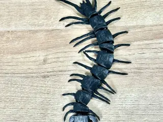 Centipede Flexi