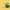 Pokeball 1026 Browt