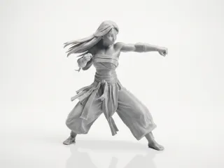 Fighter Girl Martial Arts Figurine 3D Printable