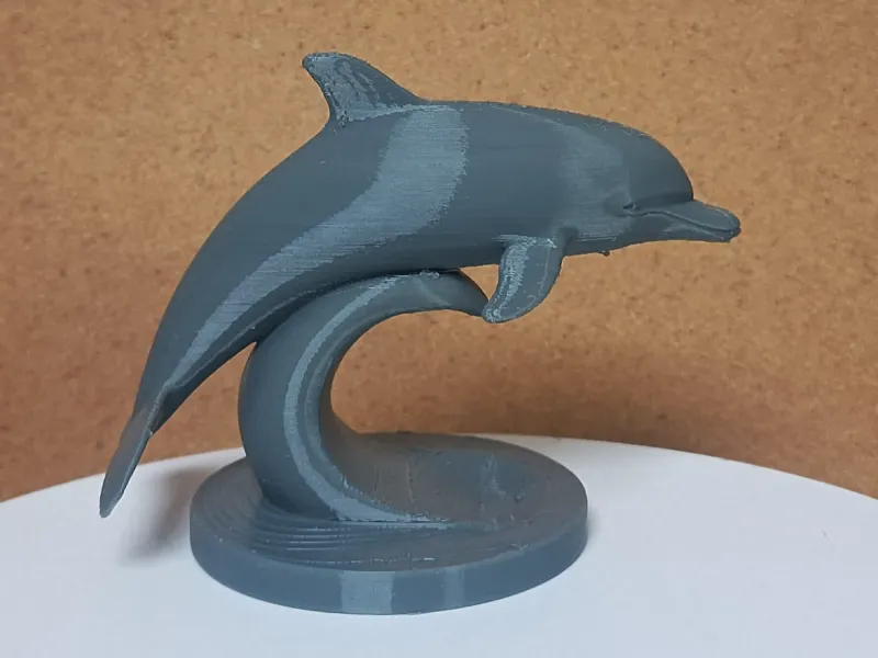 Dolphin / Golfinho