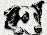 australian shepherd dog laying wall art home decor-0