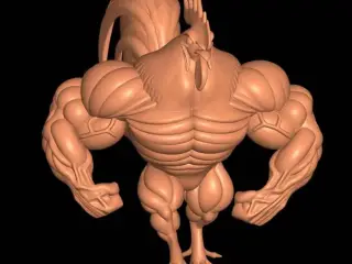 muscular cock