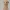Meerkat Family Figurine