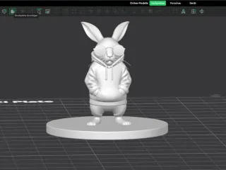 Cool Rabbit
