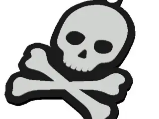 Llavero de Calavera con Huesos