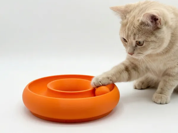 猫咪玩具