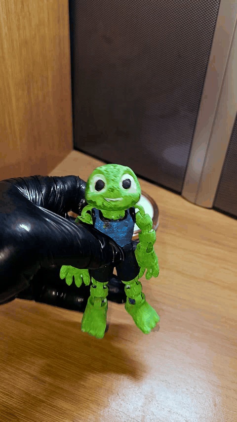 tortuga-0
