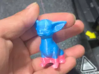 chihuahua