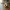 clicker-hollow-knight