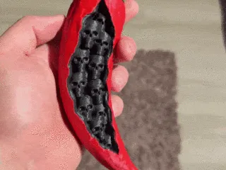 FORBIDDEN CHILI 🌶️💀