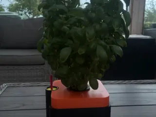 Hydroponic planter (kratky method)