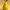 Low Poly Pear 3D Model