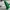 Festool D27 Vacuum Hose Sweep Adapter